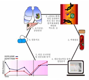 Liquid biopsy 분석 흐름