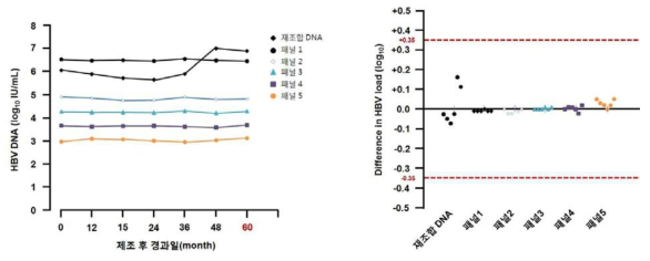 B형간염바이러스 유전자 다단계희석패널 및 재조합 DNA의 안정성 평가 결과.