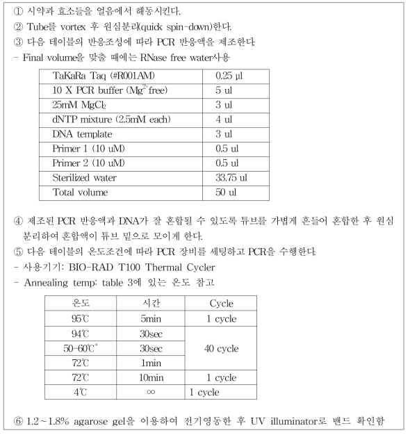 로타바이러스 유전자 플라즈미드 패널 표준품의 안정성 평가방법