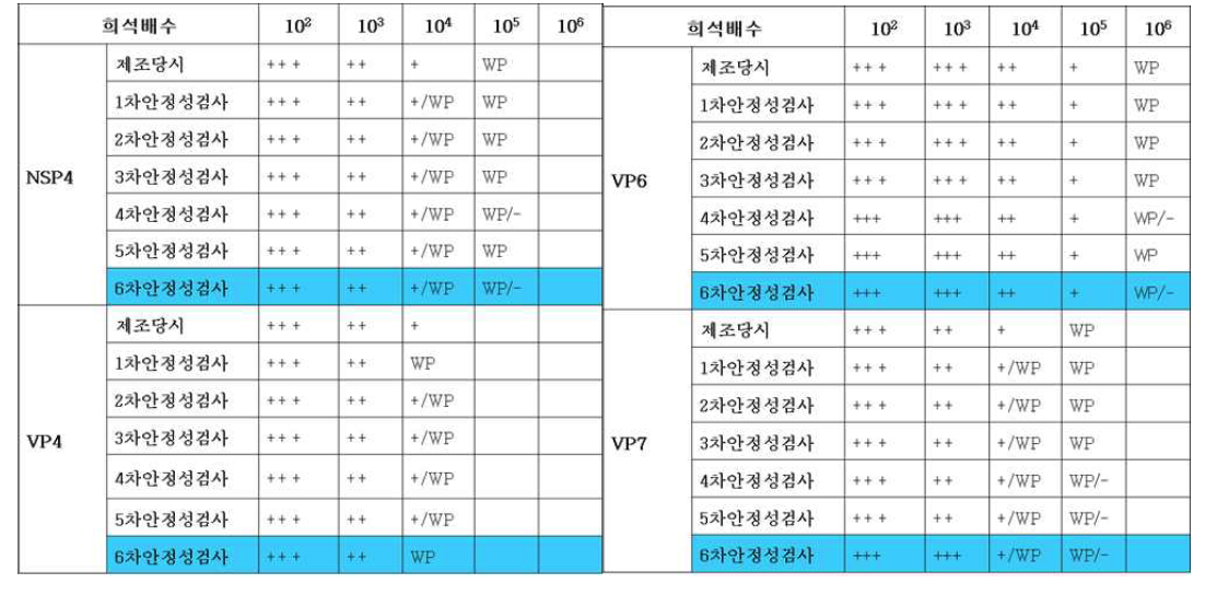 로타바이러스 유전자 플라즈미드패널 안정성 평가 결과