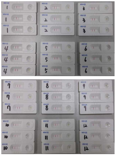 인간면역결핍바이러스(HIV-2)항체 혼합농도패널 표준품(IVD-15/001,002)의 패널특이도 결과 예시