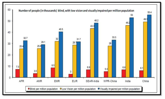 국가별 시각장애 비율