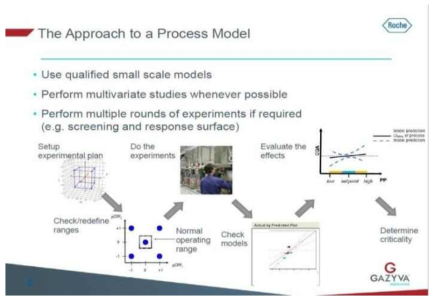 Roche ‘Qbd 적용 의약품 GAZYVA’ 의 Process model