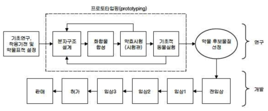 신약의 연구개발 과정