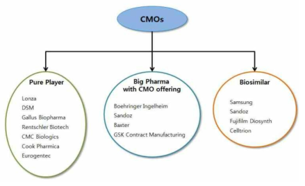 CMO의 종류