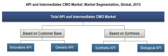 API 및 중간물질 CMO 시장의 분류