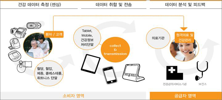 국내 의료보건 분야 IT 기술발전으로 의약품안전관리 및 질병관리 과정의 예