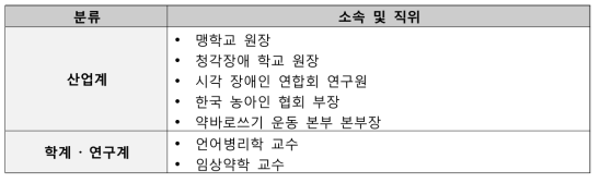 시각 장애인 대상 평가 항목/도구의 내용 타당성 검증 대상자(총 12인)