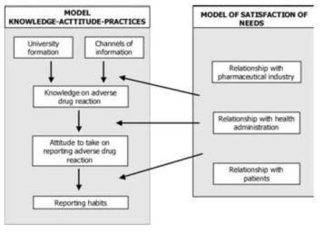 Mixed theoretical model of the factors that condition the health professional’s attitudes in the reporting of adverse drug reactions to medicines