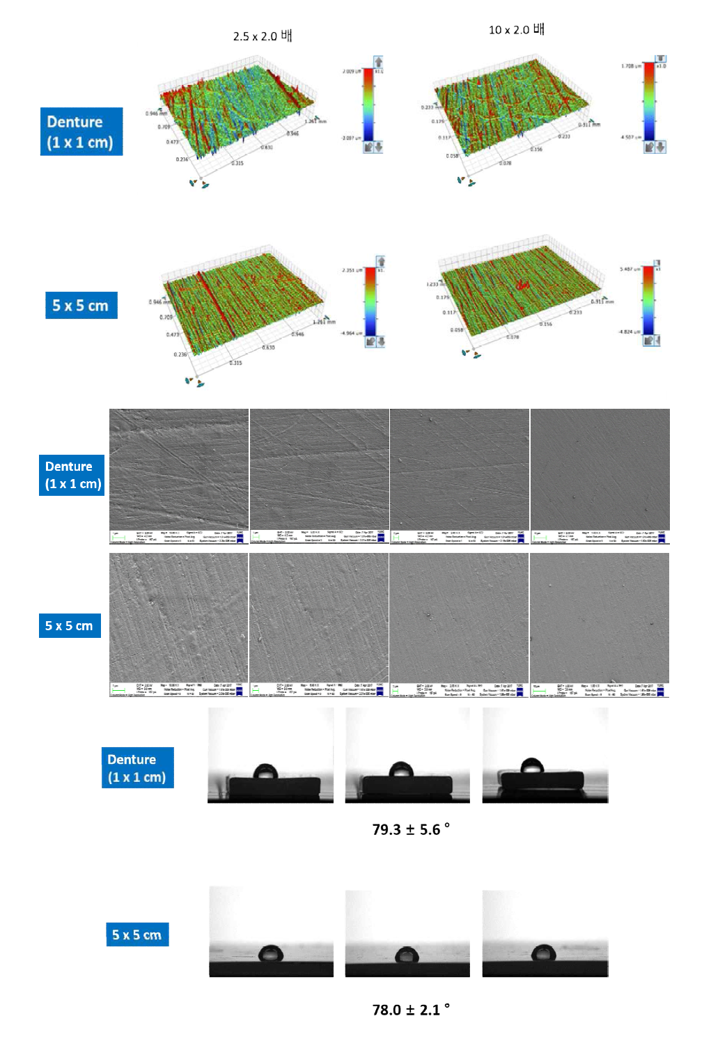 실제 의치와 의치 시편의 표면 특성 실험