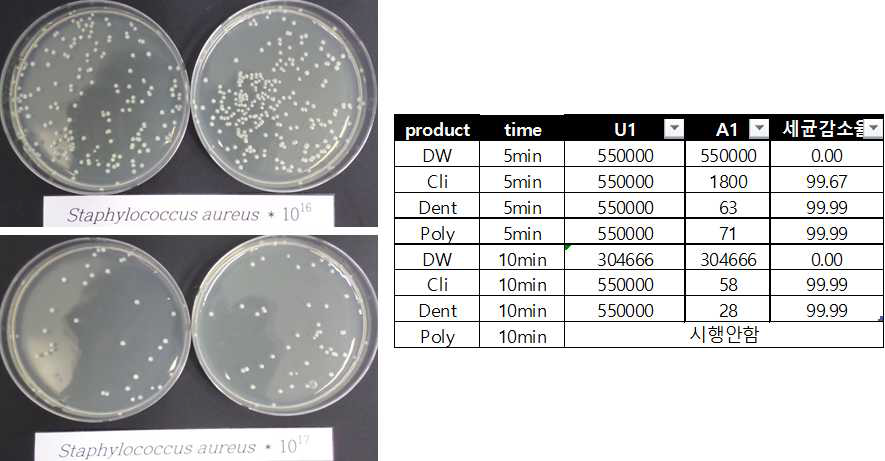 S.aureus 균 시험 결과