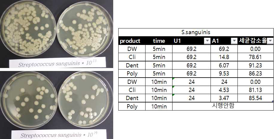 S.sanguinius 균 시험 결과