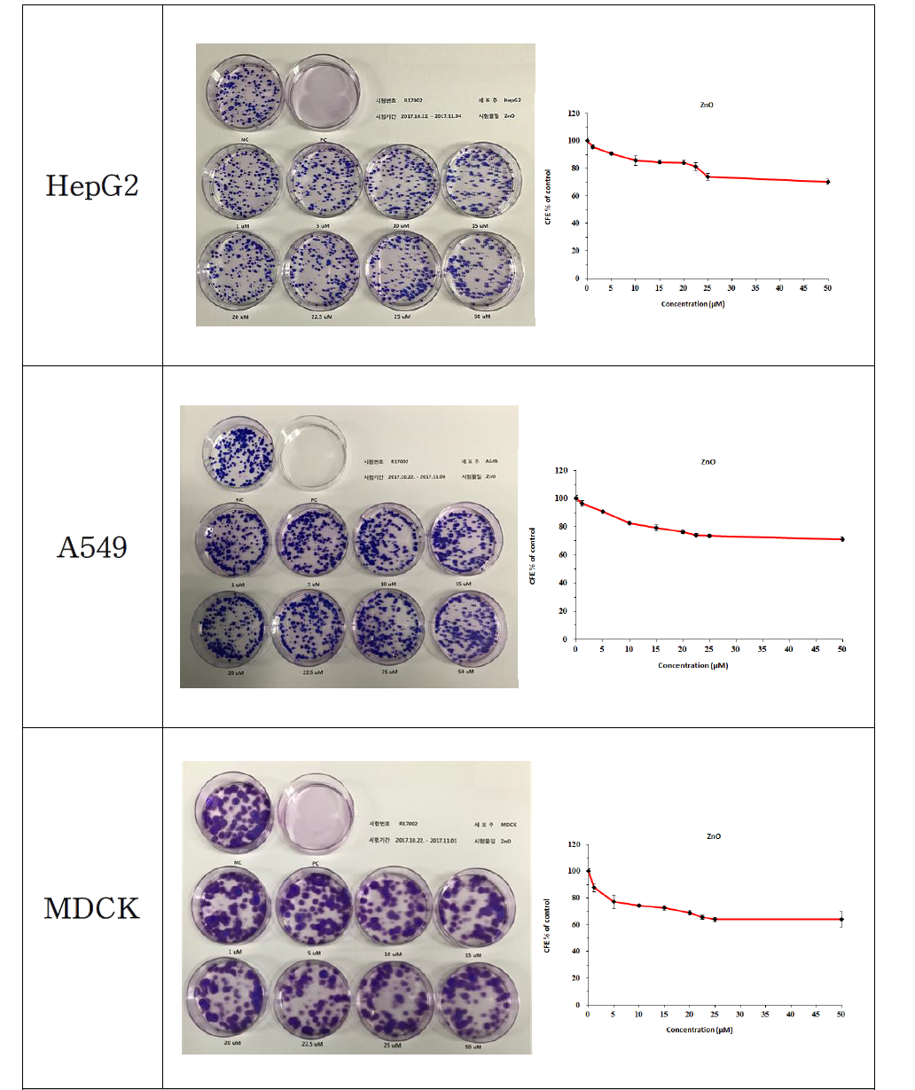 ZnO를 처리한 CFE assay 결과