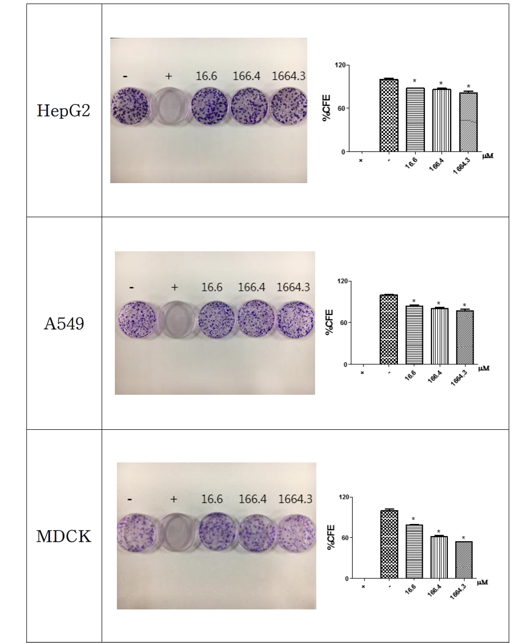 SiO2를 처리한 CFE assay 결과