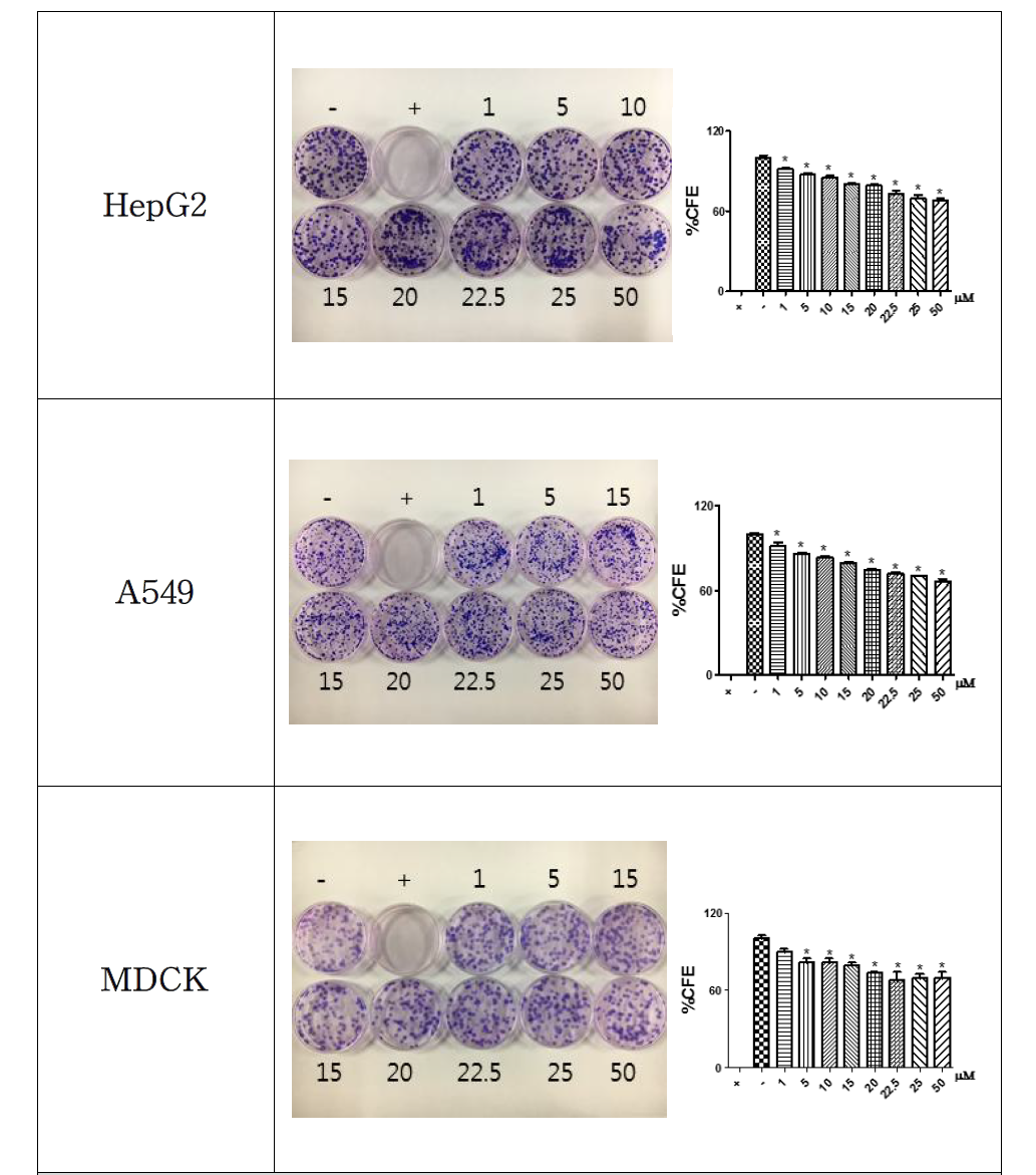 ZnO를 처리한 CFE assay 결과