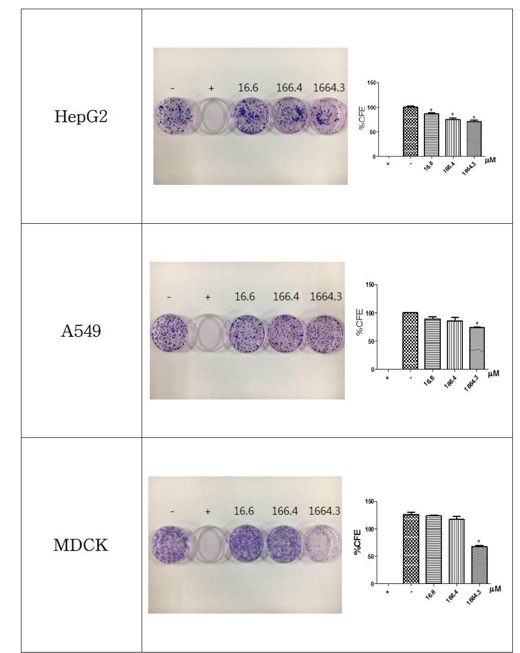 MWCNT을 처리한 CFE assay 결과