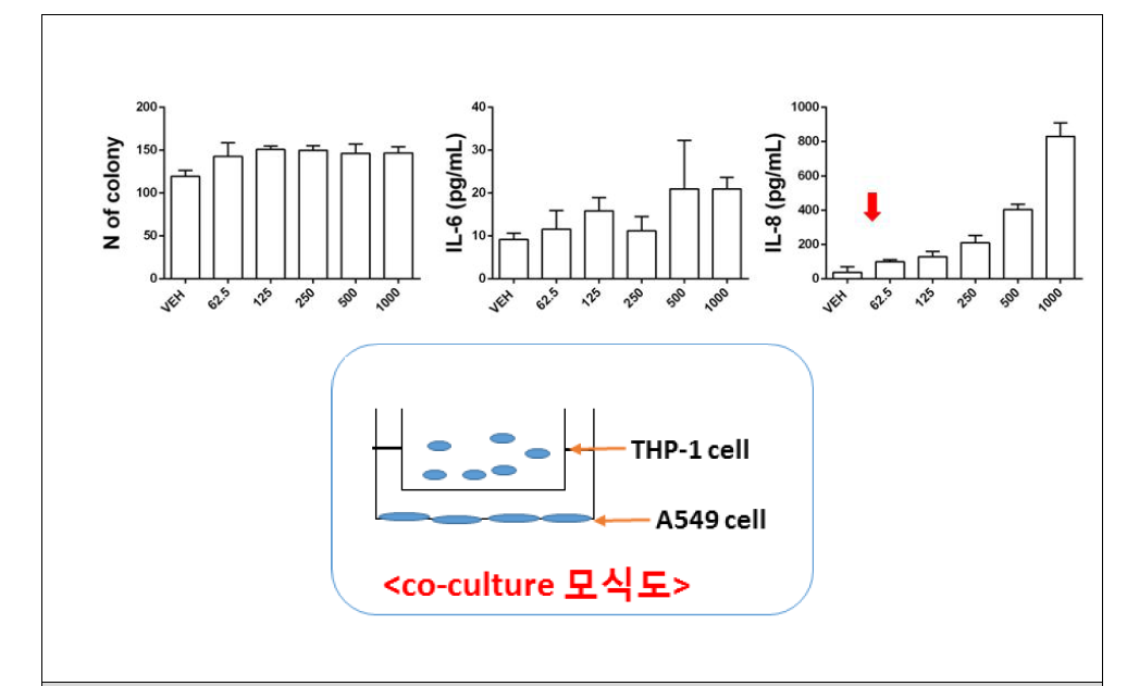 A549 200 cell/well 과 THP-1 cell의 세포 수 비율 별 실험결과