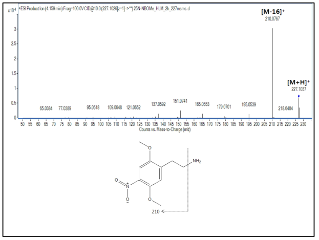 25N-NBOMe 대사체 M1(N-dealkylation; 2C-N)의 구조 규명