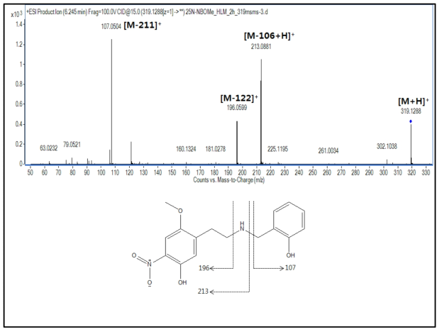 25N-NBOMe 대사체 M3, M5(di-O-demethylation)의 구조 규명