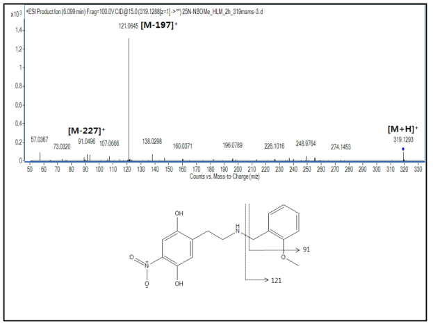 25N-NBOMe 대사체 M4(di-O-demethylation)의 구조 규명