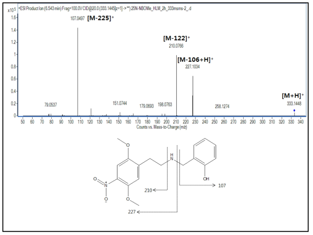 25N-NBOMe 대사체 M7(O-demethylation)의 구조 규명