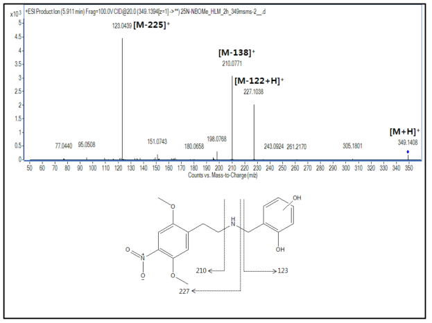 25N-NBOMe 대사체 M10, M11(O-demethylation+hydroxylation)의 구조 규명