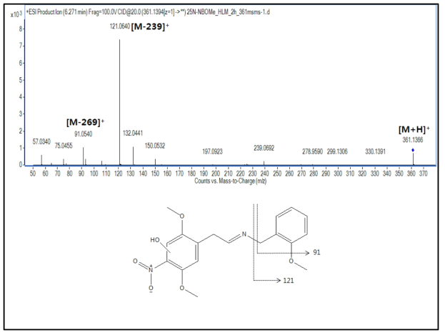 25N-NBOMe 대사체 M12(desaturation+hydroxylation)의 구조 규명