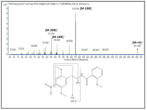 25N-NBOMe 대사체 M13(carbonylation)의 구조 규명