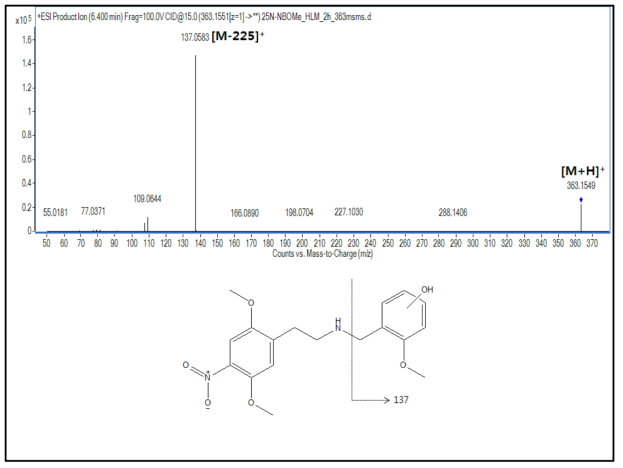 25N-NBOMe 대사체 M14(hydroxylation)의 구조 규명