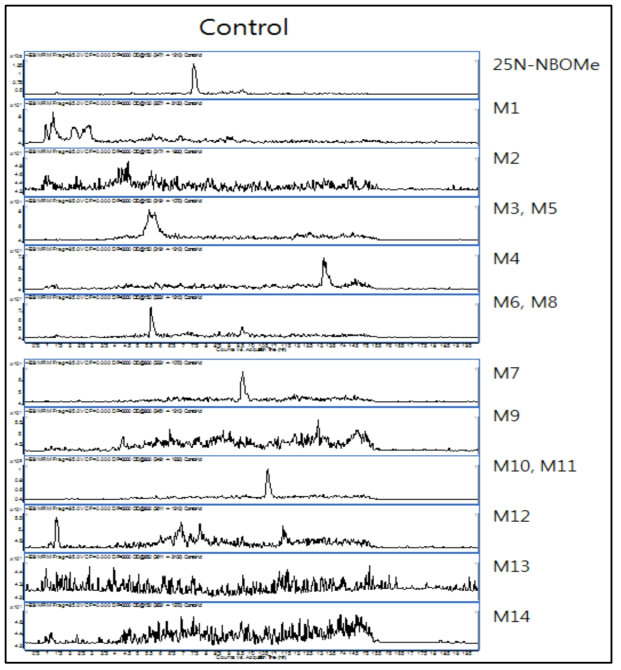 Control 사람일차배양간세포에서의 25N-NBOMe 및 대사체의 크로마토그램