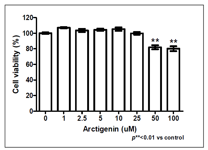 Arctigenin 세포독성 측정 결과.