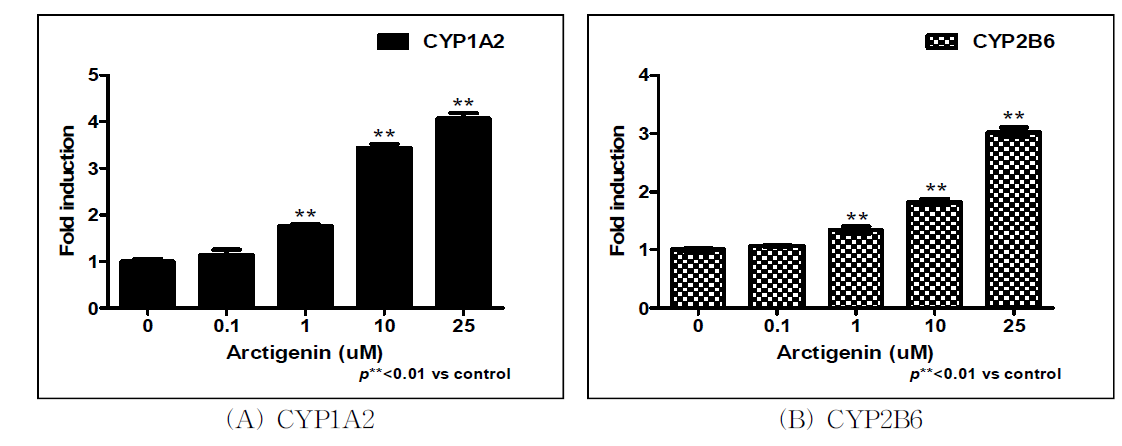 Arctigenin 처리에 따른 CYP450 유전자 발현 측정 결과.
