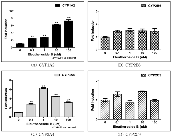 Eleutheroside B 처리에 따른 CYP450 유전자 발현 측정 결과.