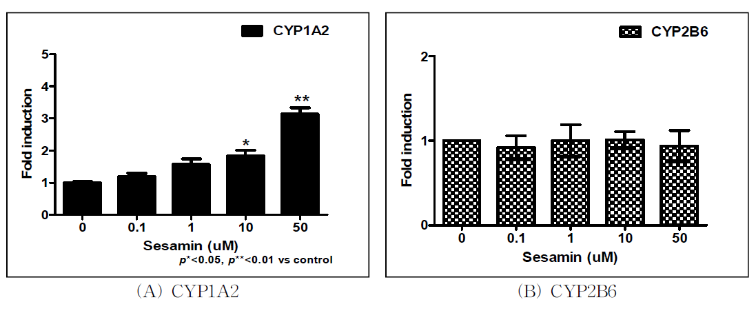 Sesamin 처리에 따른 CYP450 유전자발현측정 결과.