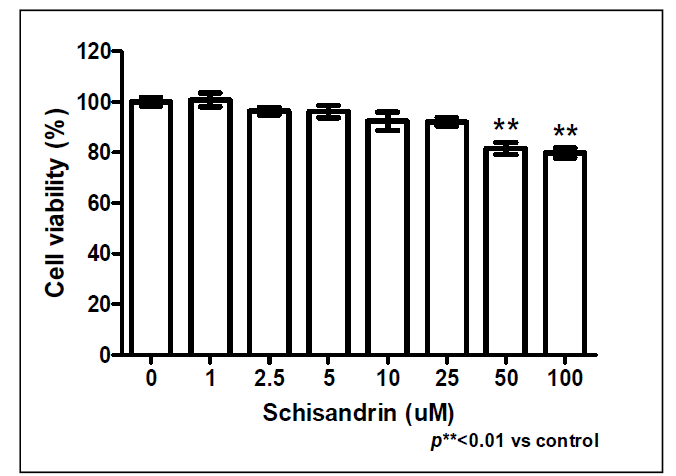 Schisandrin 세포독성 측정 결과.