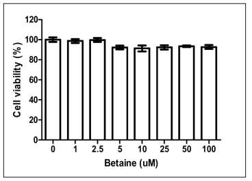 Betaine 세포독성 측정 결과.