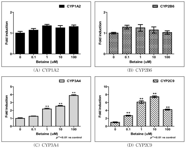 Betaine 처리에 따른 CYP450 유전자발현측정 결과.