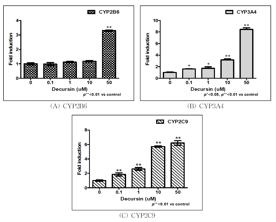 Decursin 처리에 따른 CYP450 유전자 발현 측정 결과.