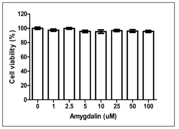 Amygdalin 세포독성 측정 결과.