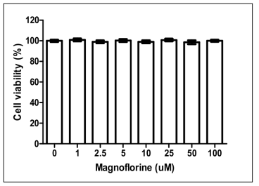 Magnoflorine 세포독성 측정 결과.