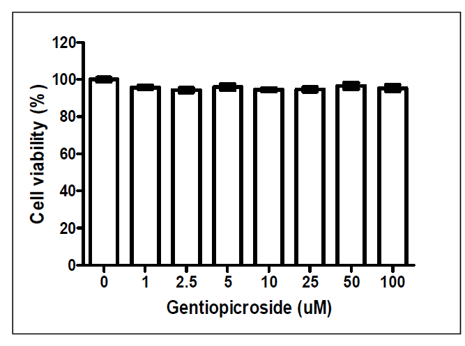 Gentiopicroside 세포독성 측정 결과.