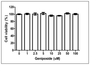 Geniposide 세포독성 측정 결과.