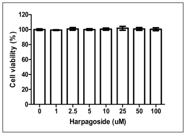 Harpagoside 세포독성 측정 결과.
