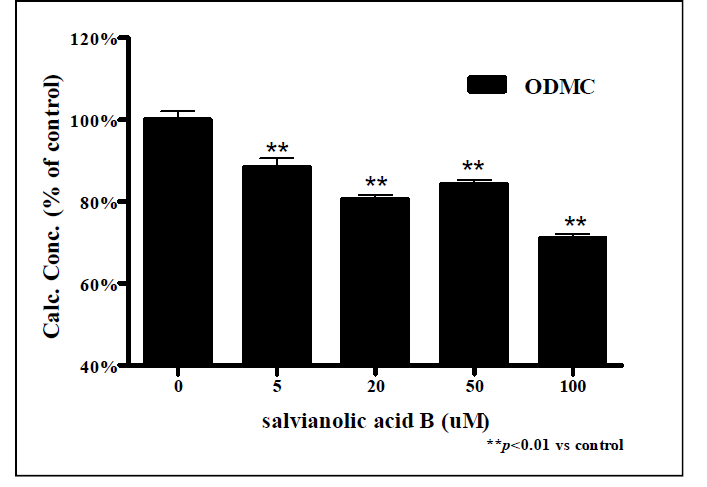 Salvianolic acid B 처리에 따른 ODMC 측정 결과.