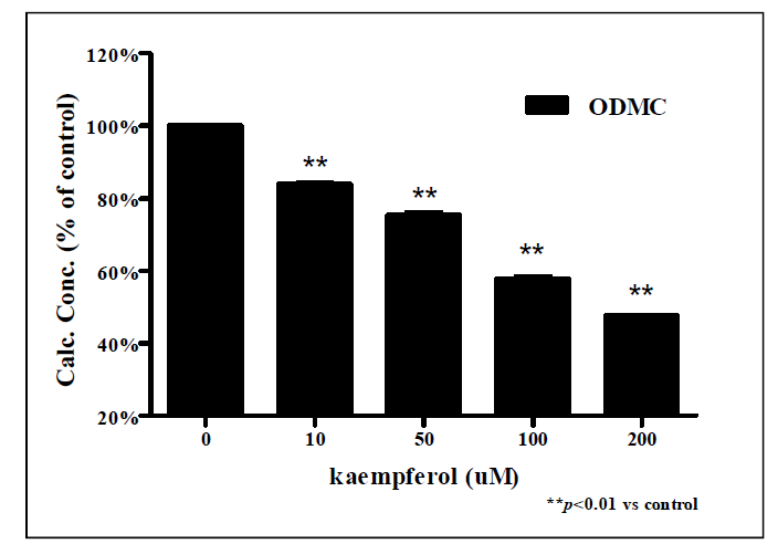 Kaempferol 처리에 따른 ODMC 측정 결과.