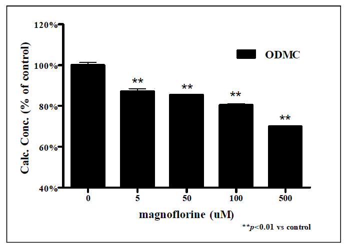 Magnoflorine 처리에 따른 ODMC 측정 결과.