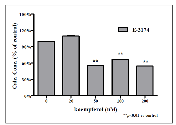 Kaempferol 처리에 따른 E-3174 측정 결과.