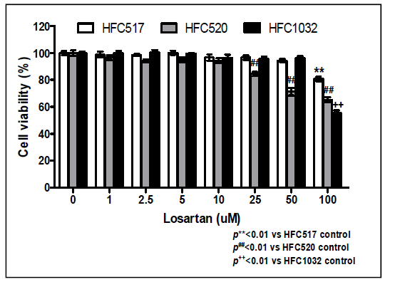 Losartan 세포독성 측정 결과.