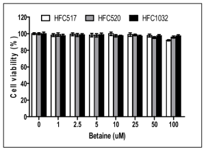 Betaine 세포독성 측정 결과.