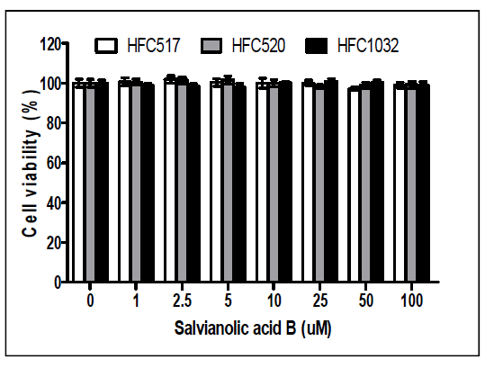 Amlodipine과 salvianolic acid B 병용처리에 따른 세포독성 측정 결과.